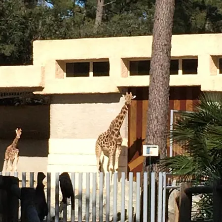 度假居 Charming Maisonette - Lv-ll-clim - Les Charmilles La Palmyre