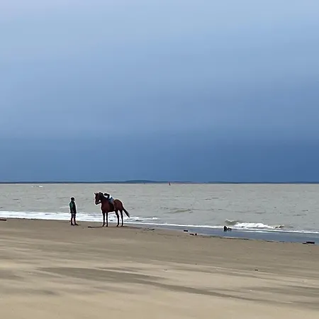 度假居 Charming Maisonette - Lv-ll-clim - Les Charmilles La Palmyre