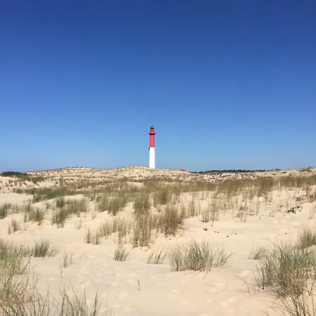 Charming Maisonette - Lv-ll-clim - Les Charmilles La Palmyre * Les Mathes