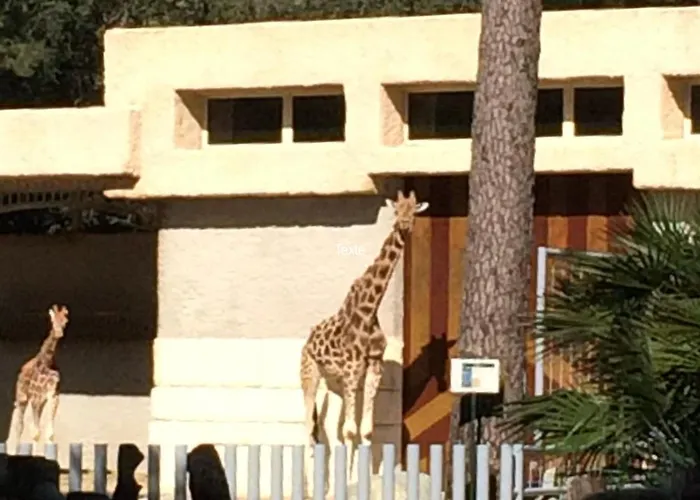 度假居 Charming Maisonette - Lv-ll-clim - Les Charmilles La Palmyre