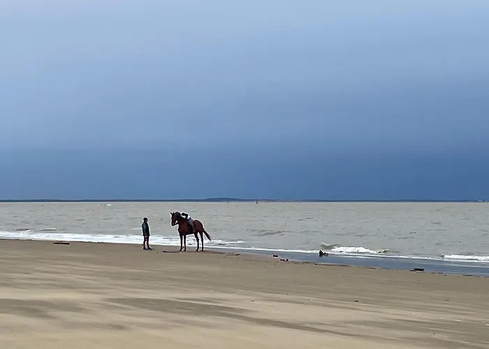 度假居 Charming Maisonette - Lv-ll-clim - Les Charmilles La Palmyre